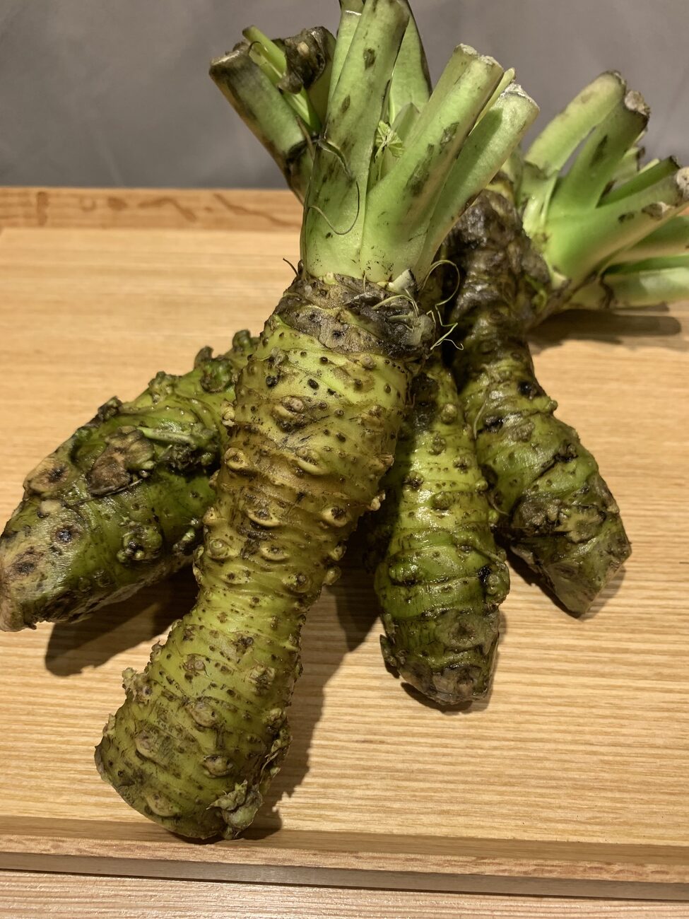 Echter Wasabi-Anbau in Japan