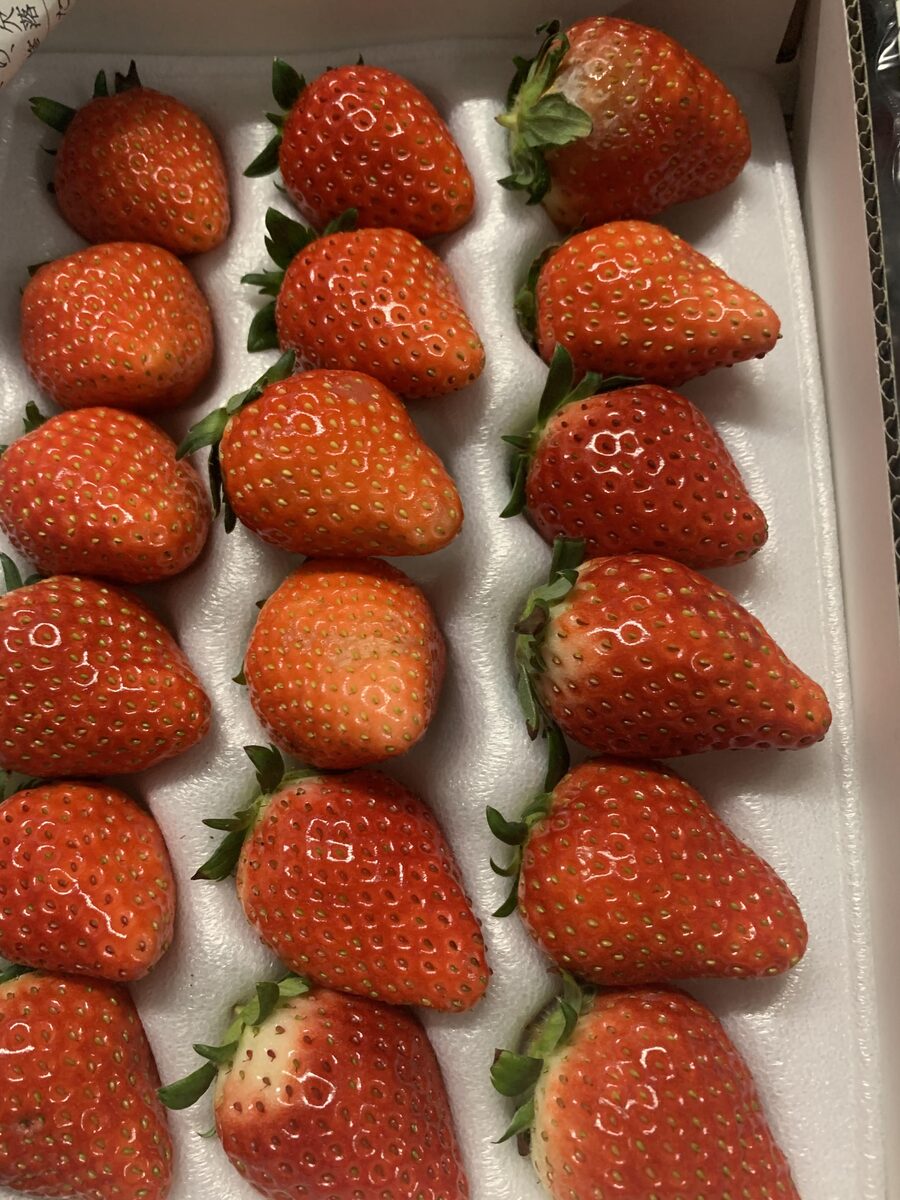 Japanische Erdbeeren vom Produzenten