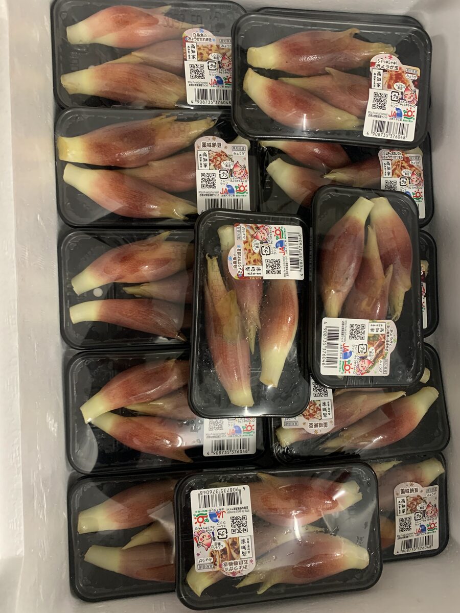Frischer Myoga-Ingwer aus Japan